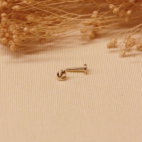 Çapa Tragus Piercing