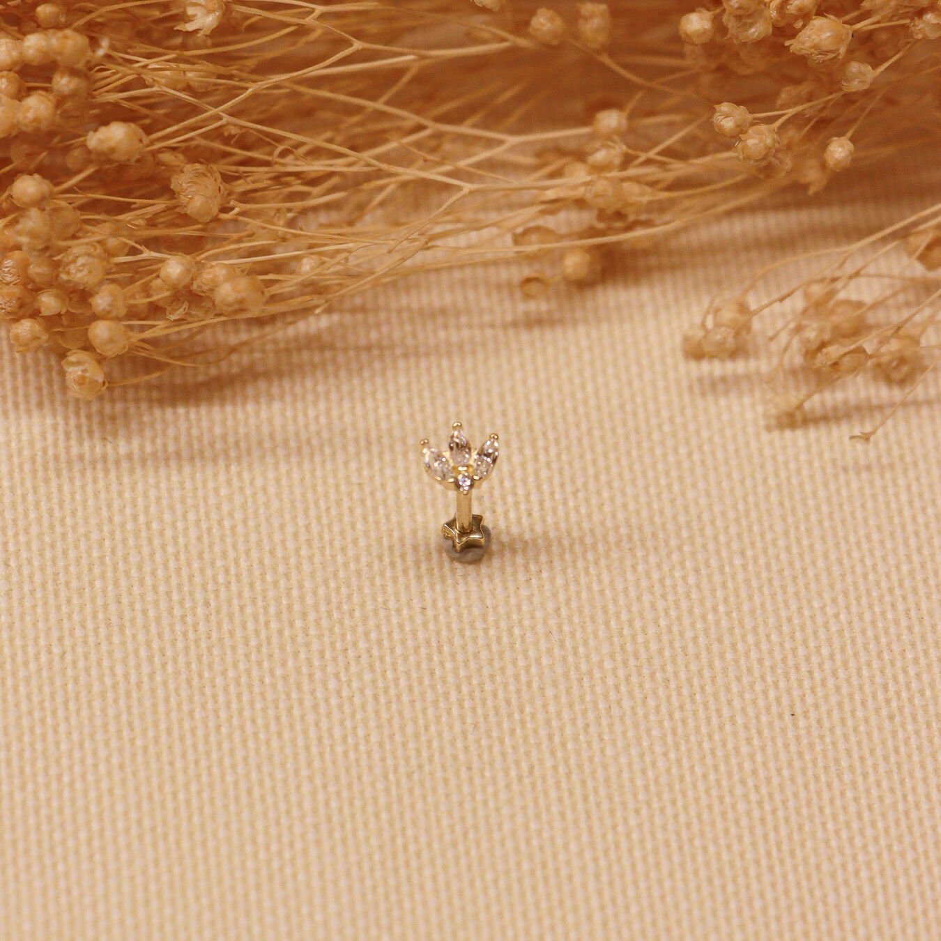 Taç Tragus Piercing