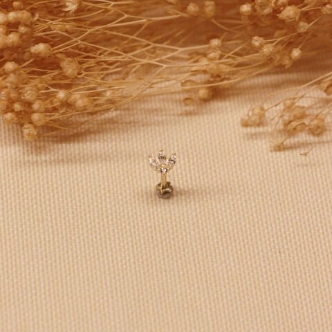 Taç Tragus Piercing