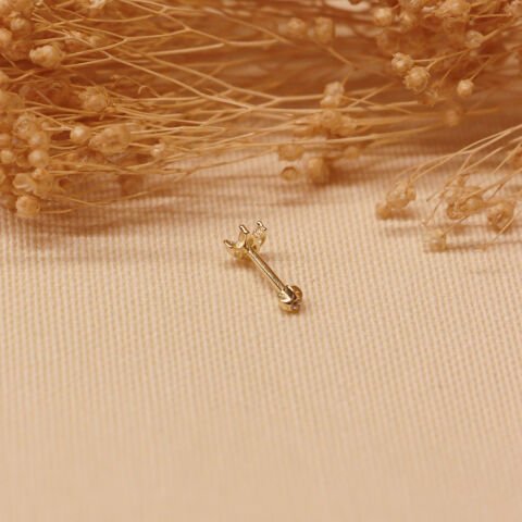 Taç Tragus Piercing