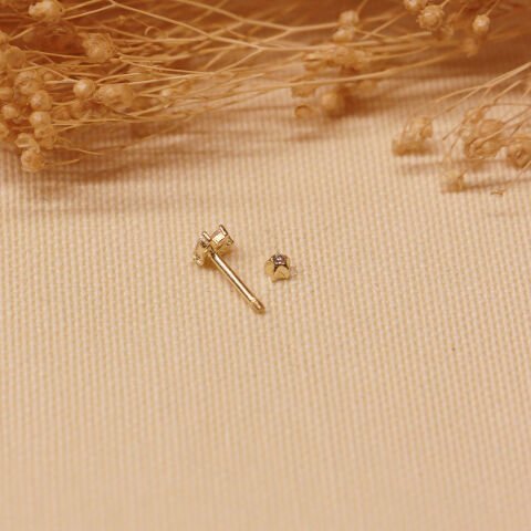 Taç Tragus Piercing