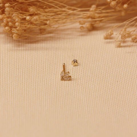 Taç Tragus Piercing