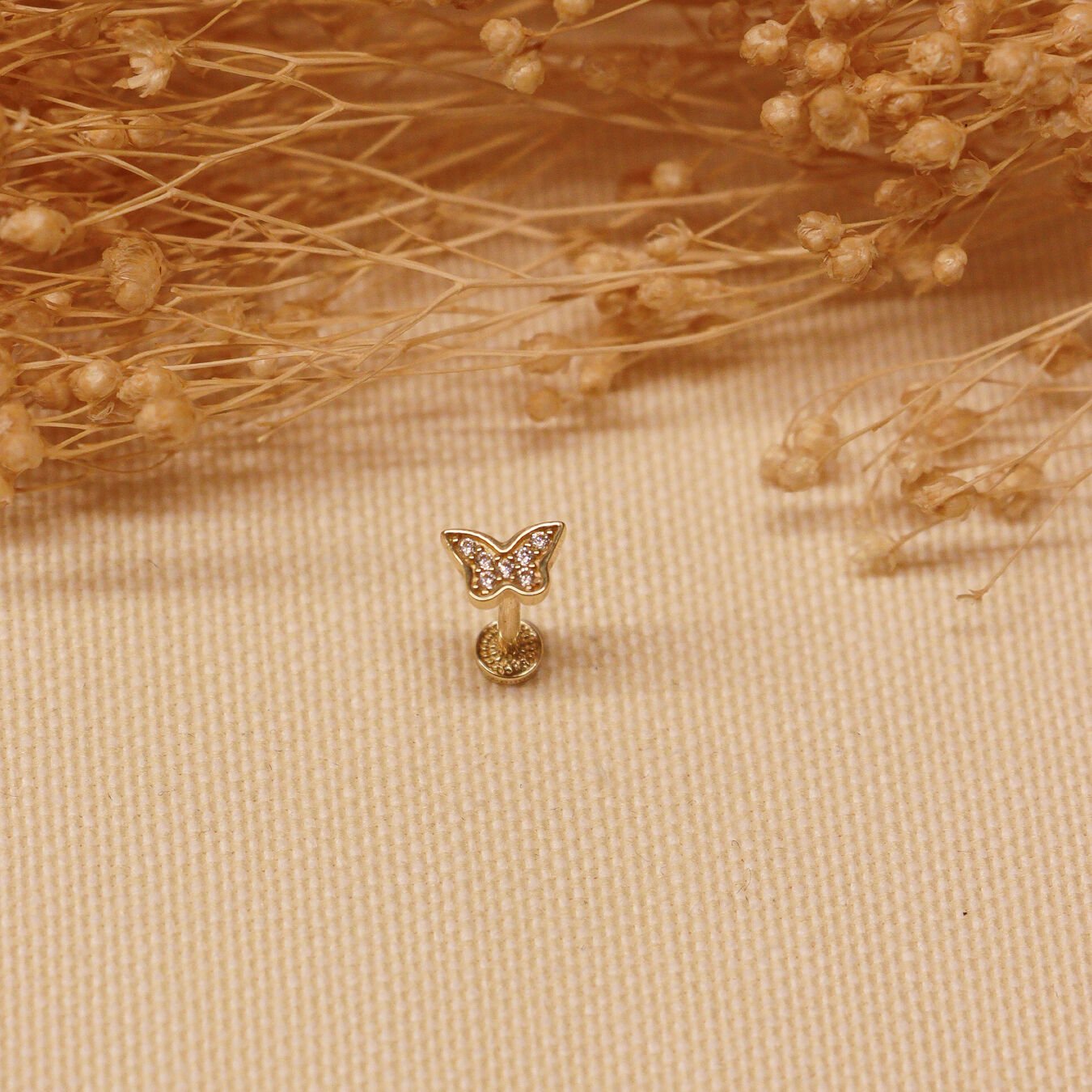 Kelebek Tragus Piercing