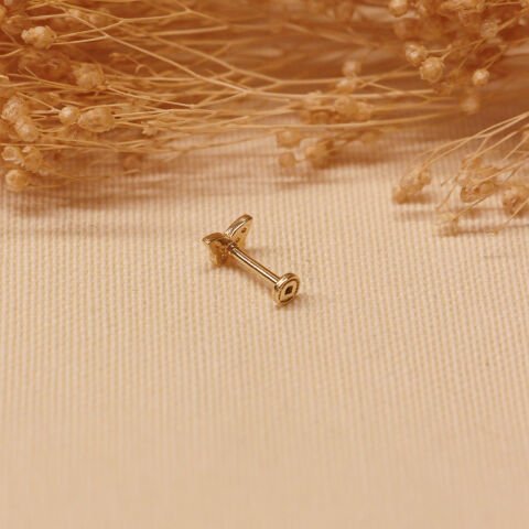 Kelebek Tragus Piercing