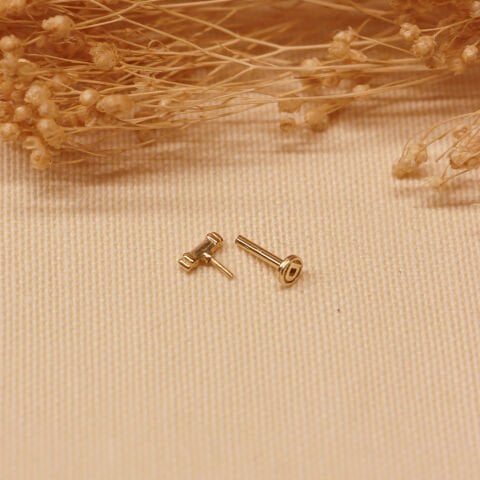 Baget  Tragus Piercing