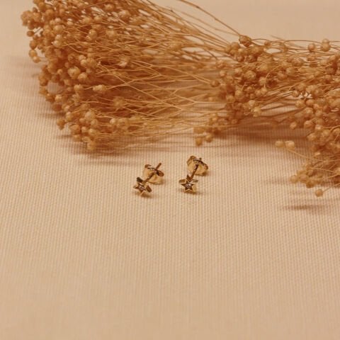 Mini Yıldız Vidalı Küpe