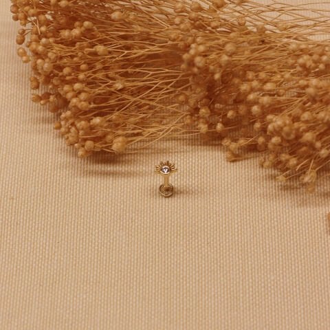 Doğan Güneş Tragus Piercing