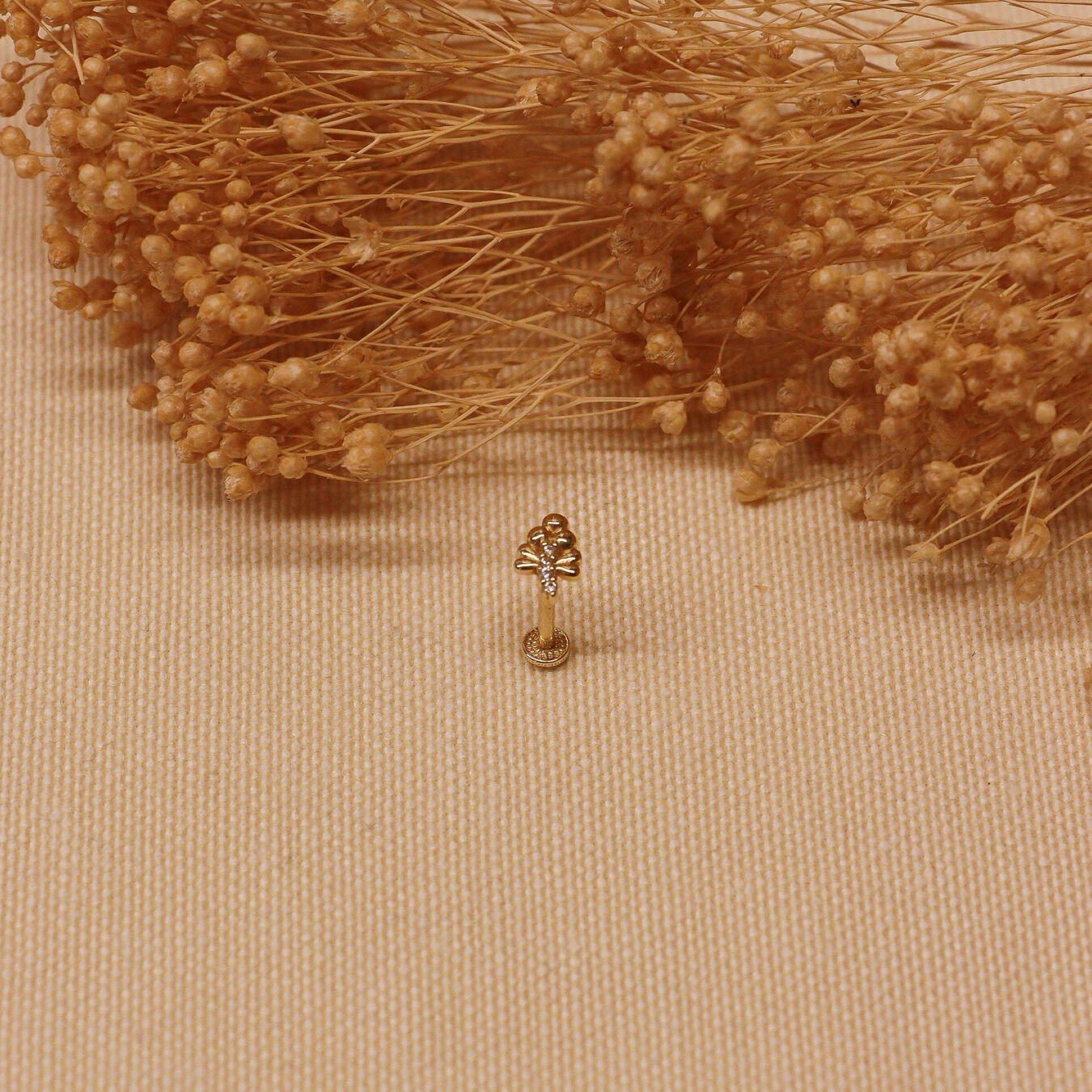 Üzüm Salkımı Tragus Piercing