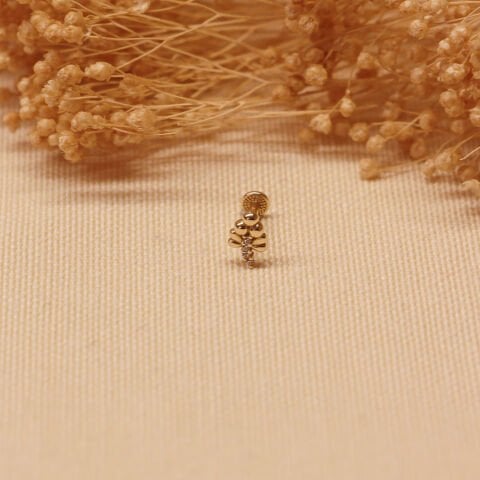 Üzüm Salkımı Tragus Piercing