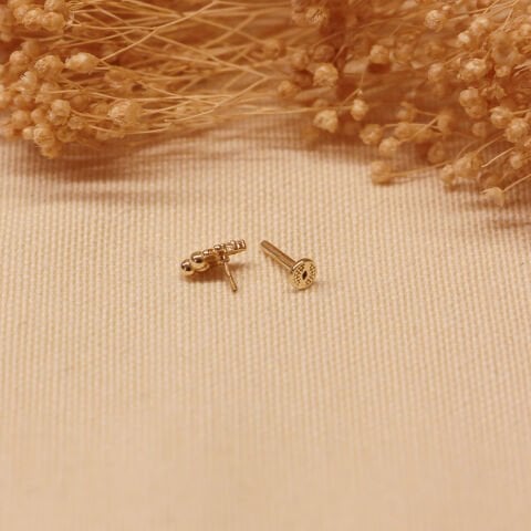 Üzüm Salkımı Tragus Piercing