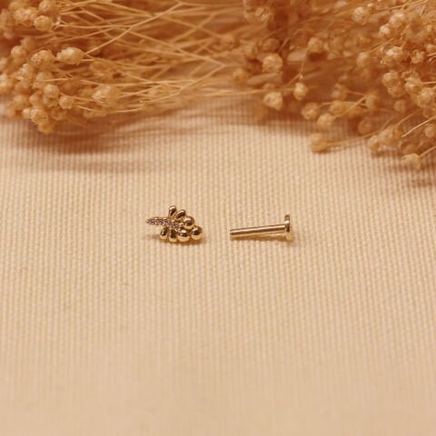 Üzüm Salkımı Tragus Piercing