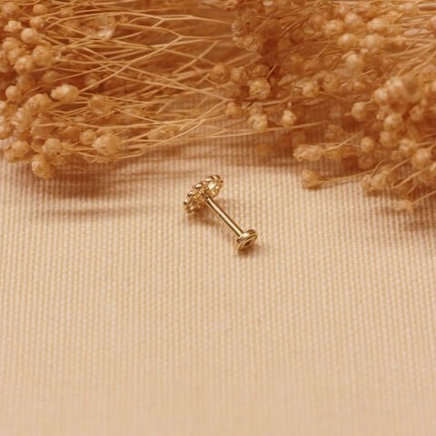 Taşlı Yonca Tragus Piercing