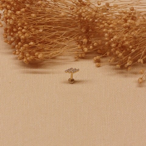 Üç Sıra Taşlı Şimşek Tragus Piercing