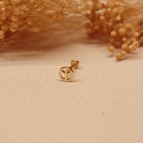 Barış İşareti Tragus Piercing
