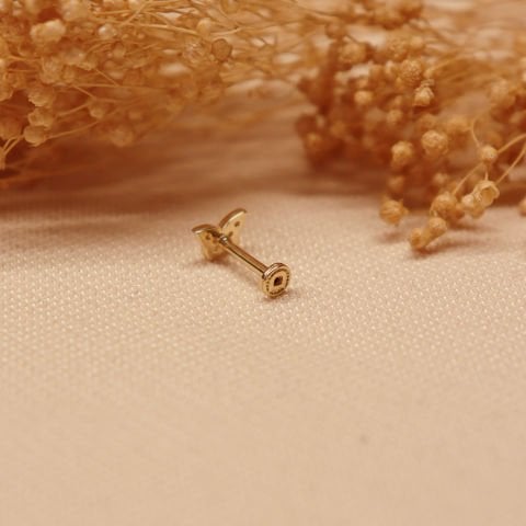 Kelebek Tragus Piercing