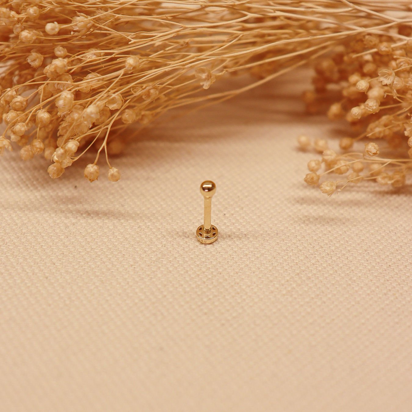 Top Tragus