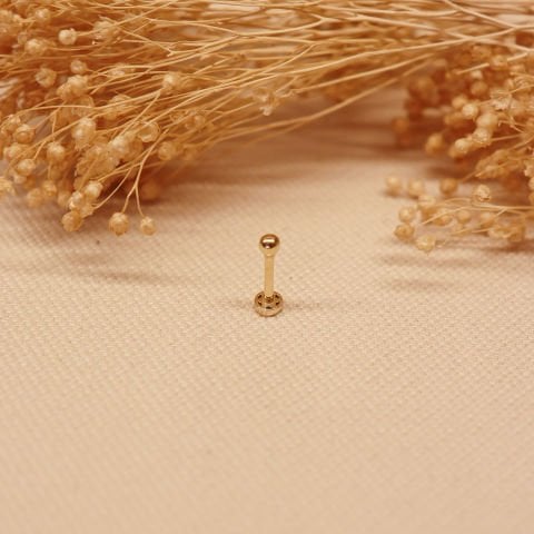 Top Tragus