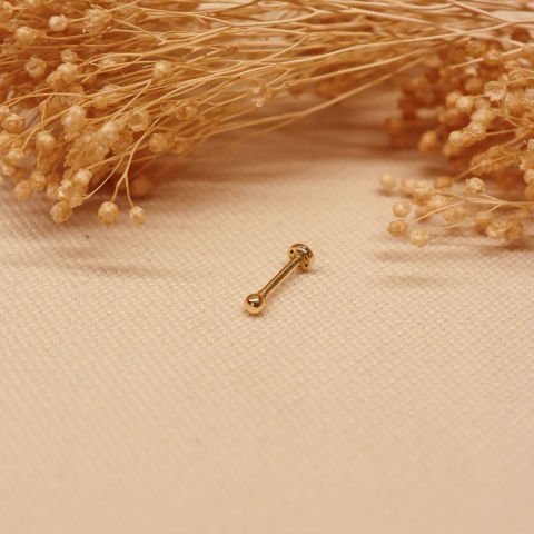 Top Tragus