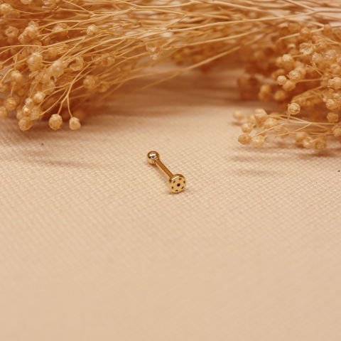 Top Tragus